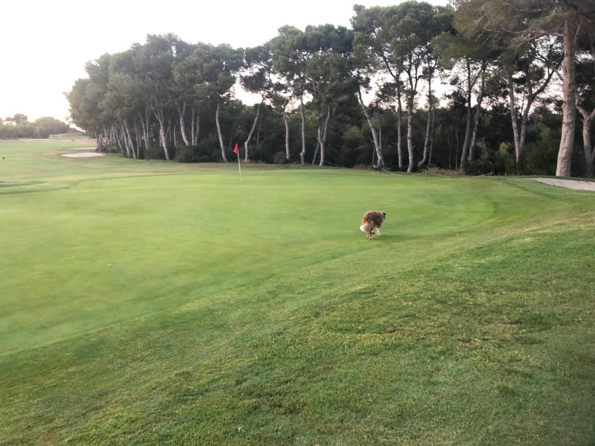 Saint James Park Upstairs Dehesa de Campoamor  Luaran gambar